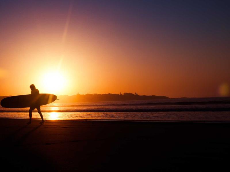 TikTok批量起号<br>多账号矩阵搭建快速做权重